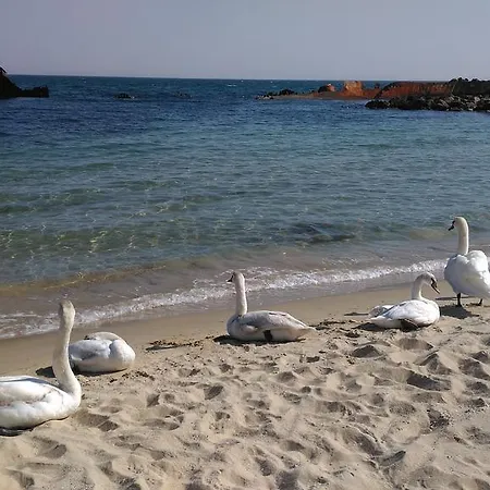 Apartman Kalin Complex Aurelia-ravda