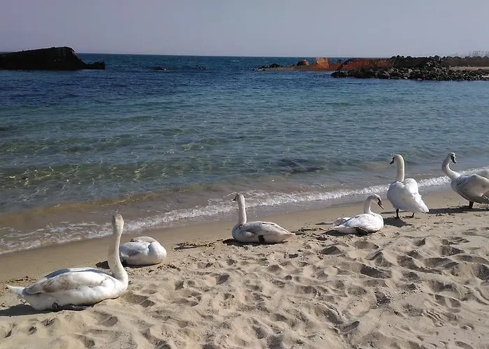 Appartamento Kalin Complex Aurelia-ravda